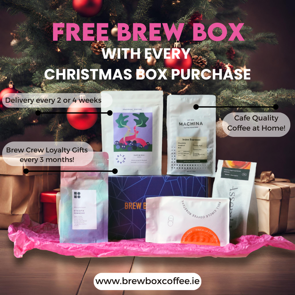 Christmas Box - Free Brew Box!